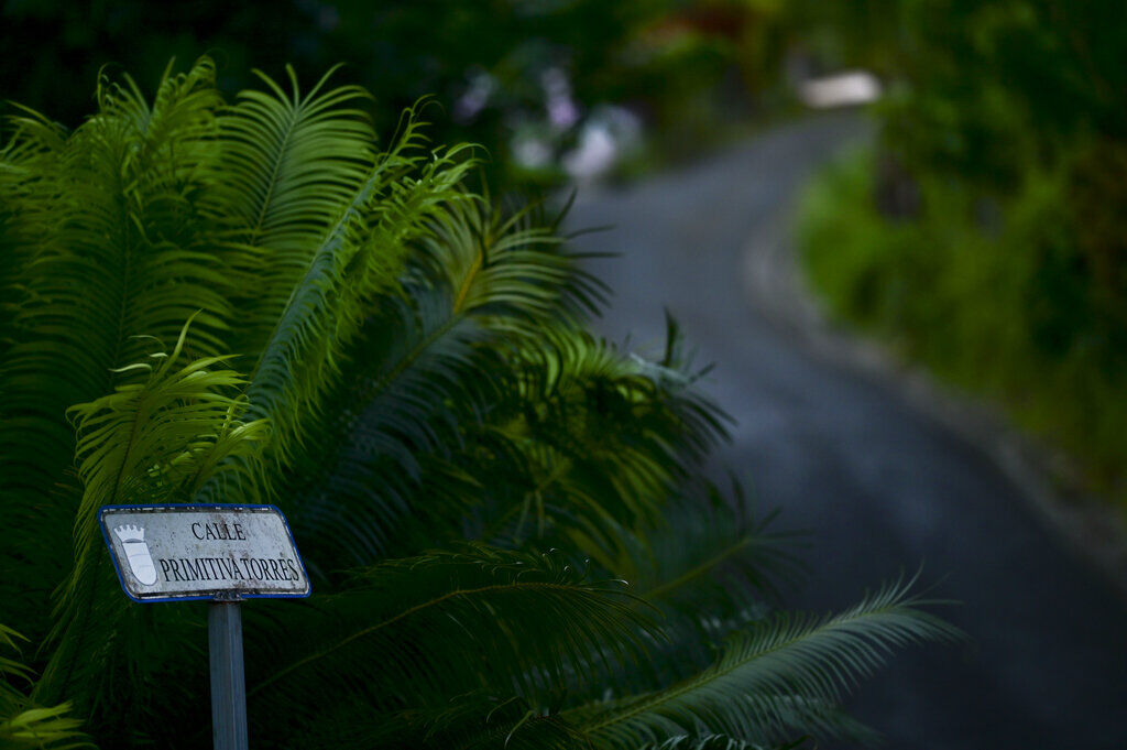 Puerto Rico - Informal Addresses